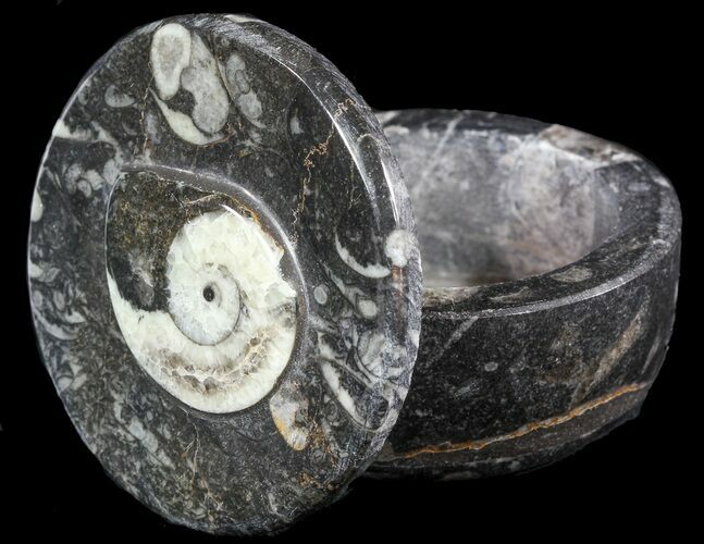 Small Fossil Goniatite Jar (Black) - Stoneware #48716